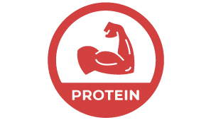 Whey Protein