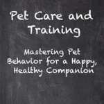 Virversity Online Courses: Pet Care and Training
