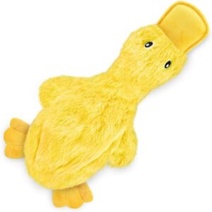 Best Pet Supplies Interactive Squeaky Dog Chew Toy