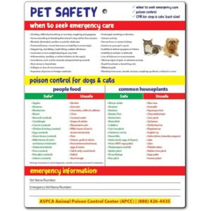 Safety Magnets by ZOCO