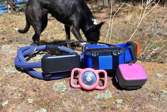 Best GPS Tracker for Dogs Without Subscription: Top Picks for 2026